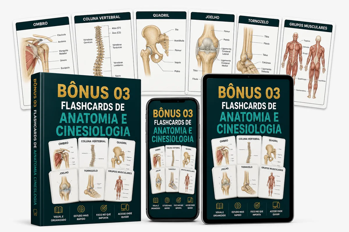 Mockup do Flashcards de Anatomia e Cinesiologia para Fisioterapia